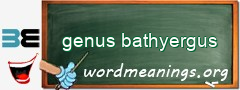 WordMeaning blackboard for genus bathyergus